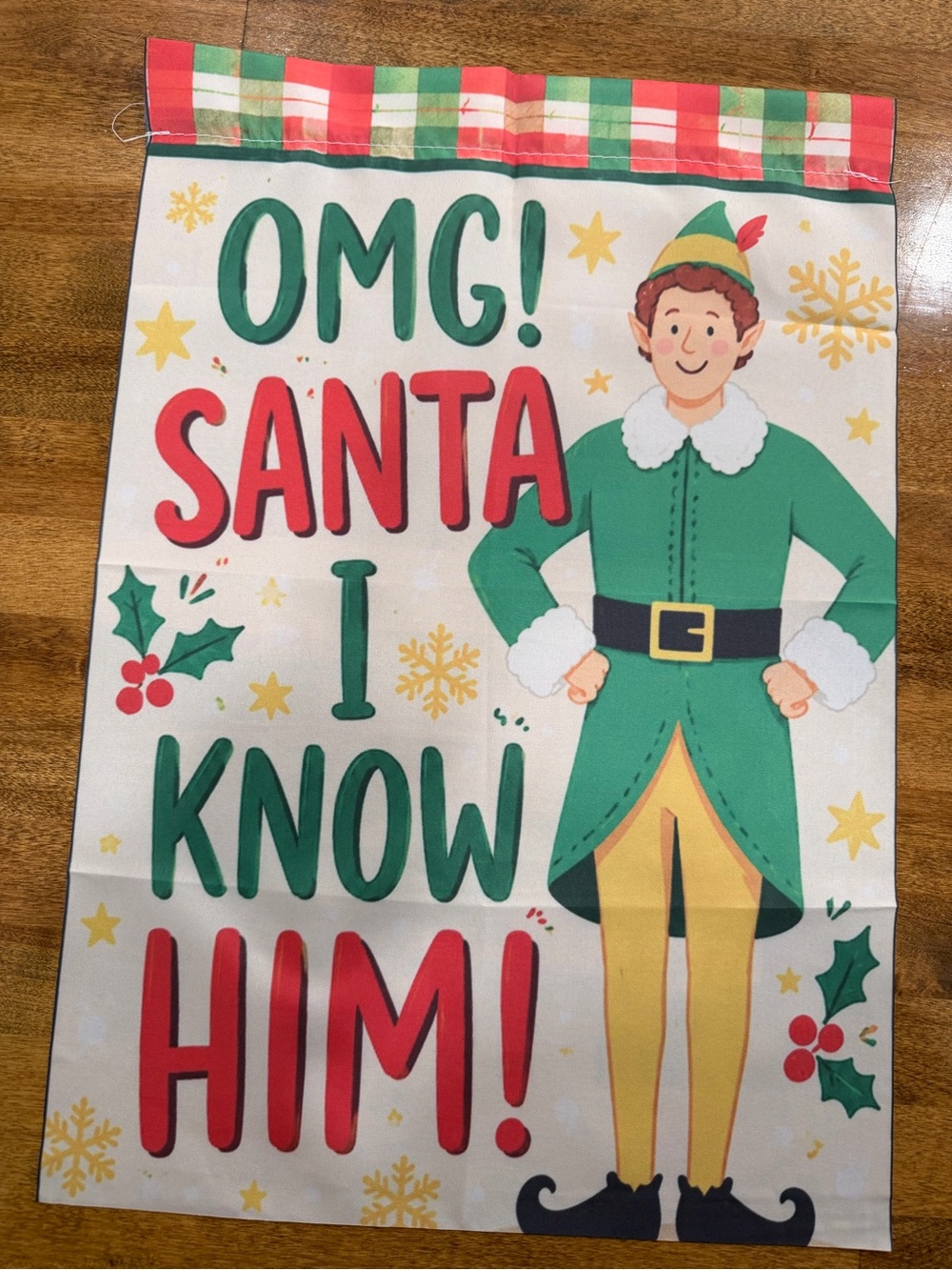Holiday Elf Garden Flag - Green and Red "OMG! Santa I Know Him!"
